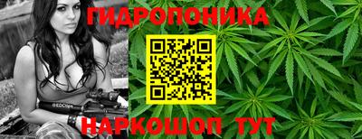 спиды Можга