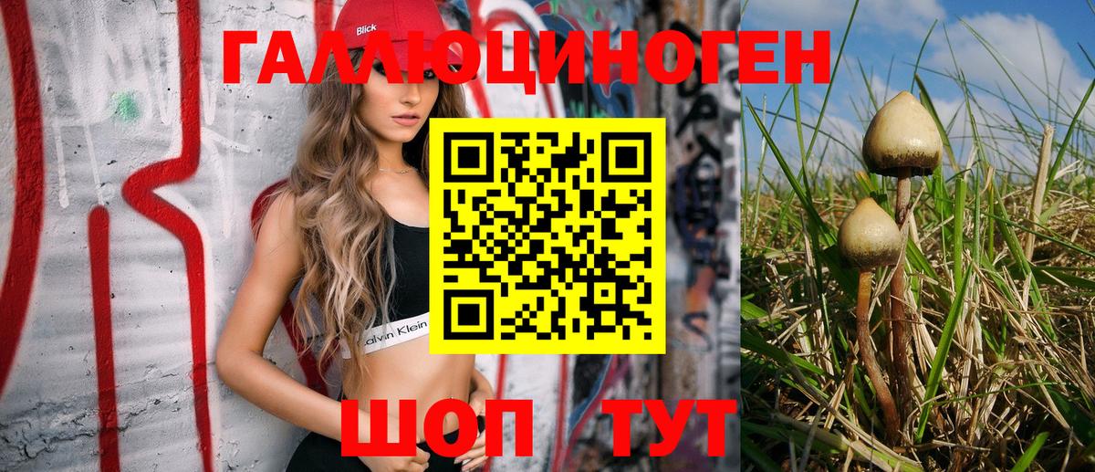 Галлюциногенные грибы мухоморы  Вход с VPN  Углич  Псилоцибиновые грибы Magic Shrooms 